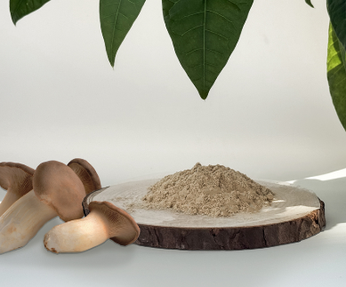 KING TRUMPET MUSHROOM EXTRACT